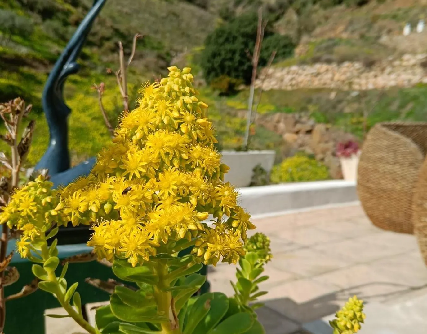 Casa vacanze Casa Medina - Private Villa With Terrace And Sea View, 25 Minutes From Malaga Moclinejo Spagna
