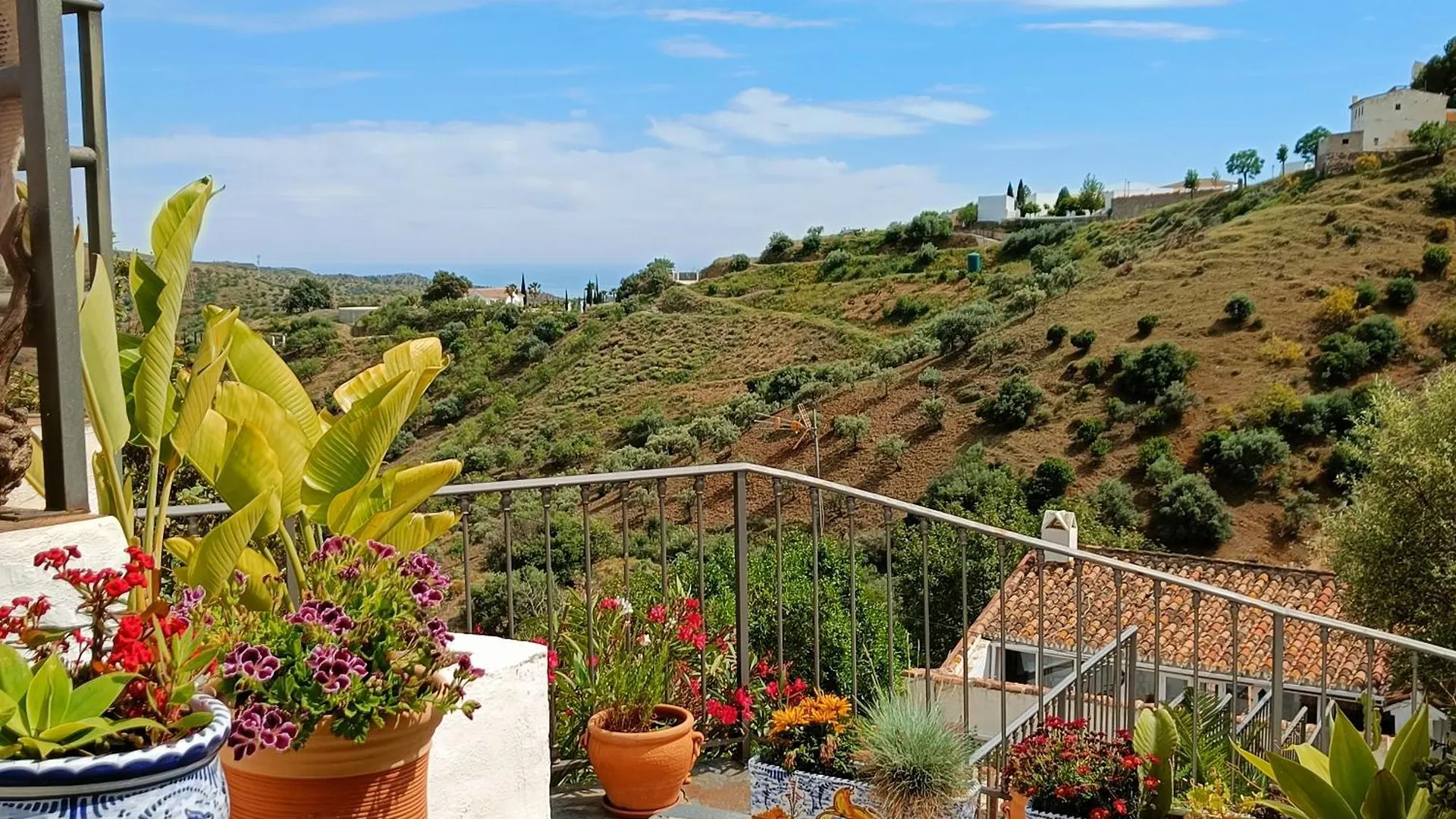 Casa Medina - Private Villa With Terrace And Sea View, 25 Minutes From Malaga Moclinejo 0*,  España